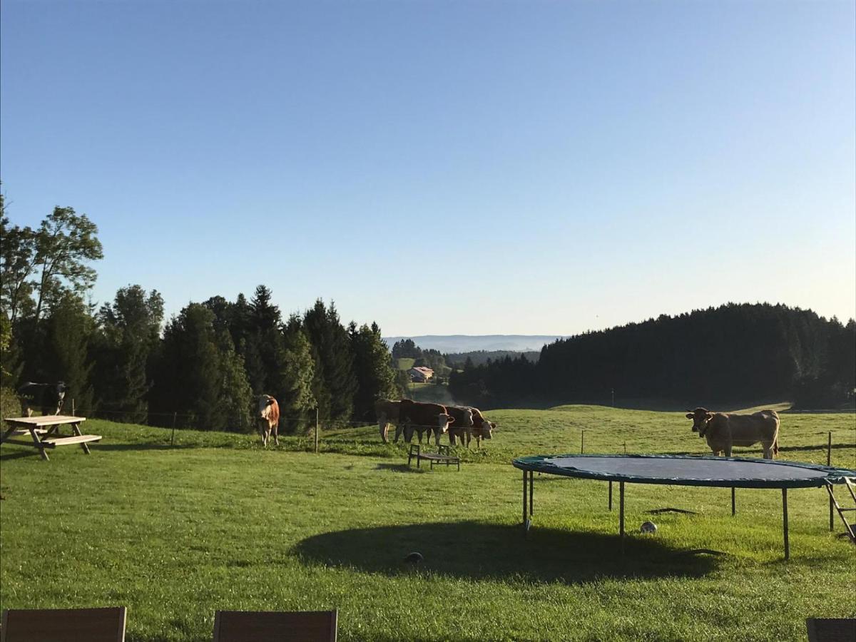 Gmeinder'S Landhaus Immenstadt im Allgäu Kültér fotó